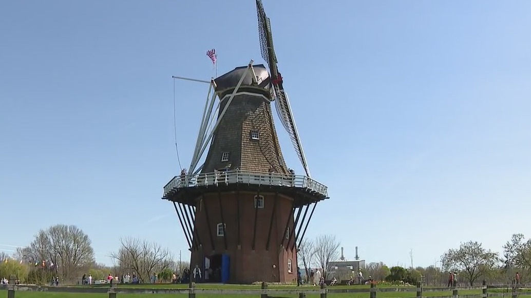 Take a closer look at the historic De Zwaan windmill in Holland, Michigan